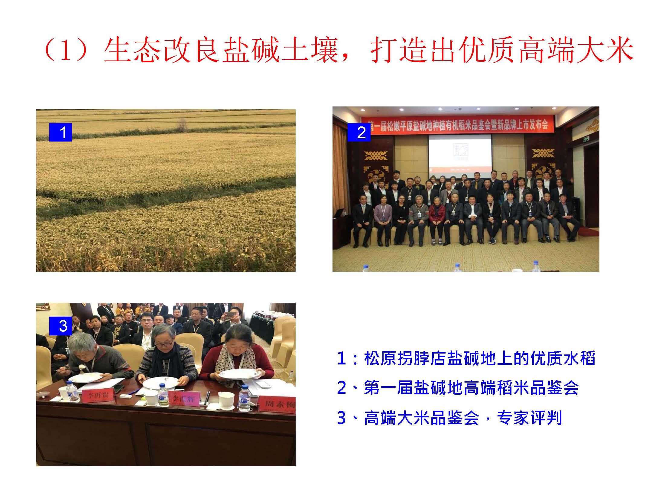 生态技术打造高端农产品