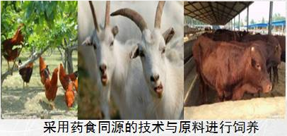药食同源有机饲养产业应用示范项目
