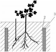 用于设施落叶果树栽培的根域加温装置