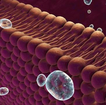 脂质组学技术服务